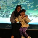 아천초등학교유치원 이미지