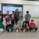 백수서초등학교 이미지