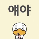 생일기록 (이었던 11월 기록) 🎶 🖤