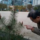 구로남초등학교 이미지