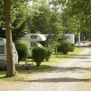 진흥카써비스 이미지