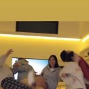 스테이 소야 네이버블로그