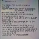 신종코로나 PCR검사를 받았습니다 이미지