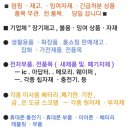 잉여기타 이미지