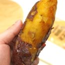 우리팜스 이미지