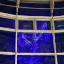 디에이블 광안점 | 광안리파스타맛집 디에이블 광안점 후기 드론쇼까지 보이는 통창 레스토랑