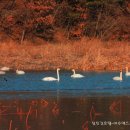 월동소류지 이미지