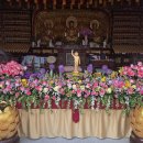 남영사약국 이미지