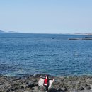 유채꽃향기처럼 이미지