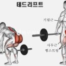 파크하비오휘트니스&골프 이미지