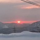 하이원 팰리스호텔(구 하이원호텔) 네이버블로그