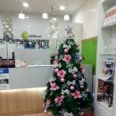 일산서울보청기 | 일산보청기가격, 일산보청기구입구매 일산서울보청기 후기
