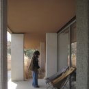 잎테(IPTAE) | 캐트(katt). 잎테(iptae). 모모스 도모헌점 - 부산 반려동물 동반 카페 1탄 (김코리 실제 방문 후기)