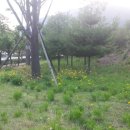 동암광장로 이미지