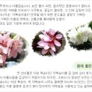 도인농장 이미지