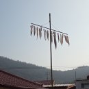 서거차선착장 Daum카페