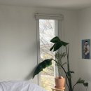 스테이제부 이미지