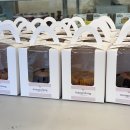 중독(DOG) 이미지