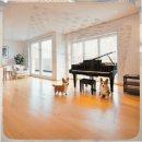 장성동물병원 | 장성 강아지분양 골든리트리버 입양 후기와 계약 전 꼭 체크해야 할 것들