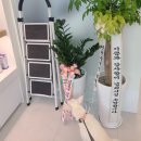 온리동물병원 이미지