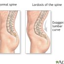 원앤온리피티 이미지