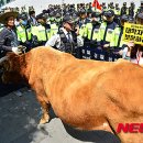 행진목장 이미지