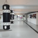 구미거북복싱 이미지