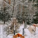 정산초등학교 이미지