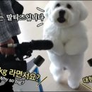 솔이농장 이미지