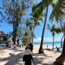 팜비치 | 보라카이 헤난팜비치 후기