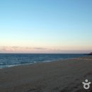 남항진동 이미지