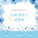 소피하우스 네이버블로그