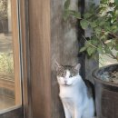 (주)에이비랩 | [일상] 크극,,, 결국 『개강』 해버렸군,,,