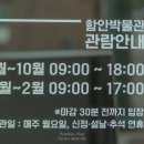 함안 말이산고분군 | 함안 가볼만한곳 함안박물관 말이산 고분군 스탬프 문화유산 유네스코