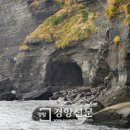 제주 송악산 해안 일제 동굴진지 이미지