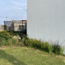 귤사랑쉼팡민박 | 제주독채펜션 돌담길 감성에 반하고 20% 할인 혜택까지 챙긴 사계새나하우스 힐링 투숙기
