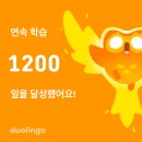 요가타타타 | (2025.06.09. 월 ~ 06.11. 수) 리틀 몽키 어쌔신 구월이, 초산모 임신 40주 2일 현재 진행 중 (초산모...