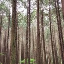 용추농원 이미지