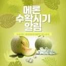 미정농장 이미지