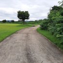 양호파크골프장 이미지