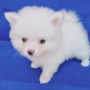 품안농장 이미지