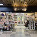 로즈팜 | 용산역 꽃집 “로즈팜” 꽃 선물 후기