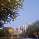 우석아파트 앞 이미지