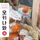 여주-0146 | 오키나와 마리오 렌트카, 고속도로 휴게소 PA 리뷰 (feat. 명물 도너츠 사타안다기)