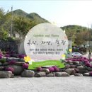 묘솔 이미지