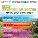 비앤와이투어 네이버블로그