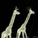 프로방스 포토랜드 이미지