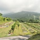 동막사거리공원 이미지