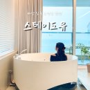 스테이도유 이미지