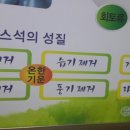 해피파동